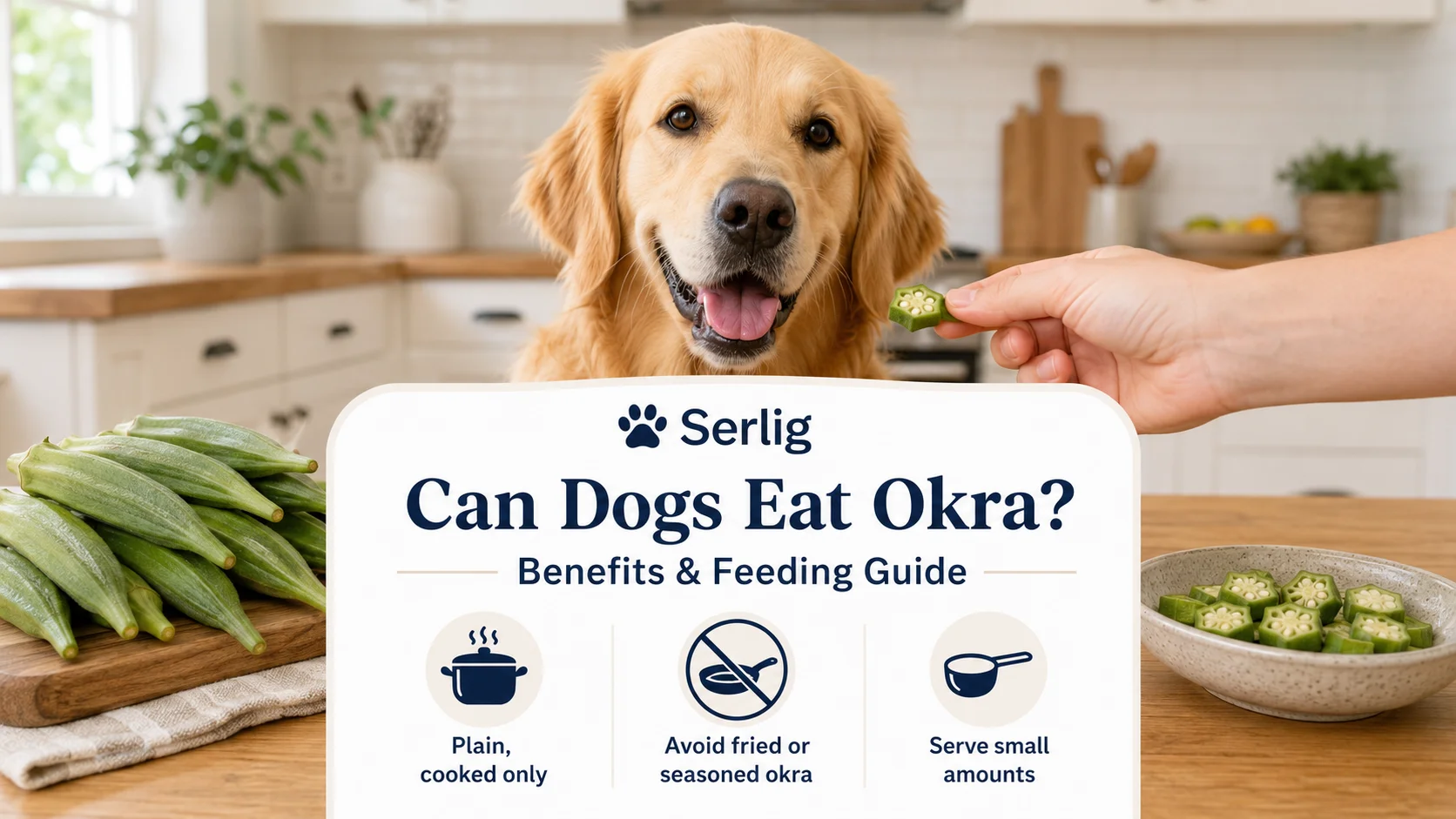 Can Dogs Eat Okra