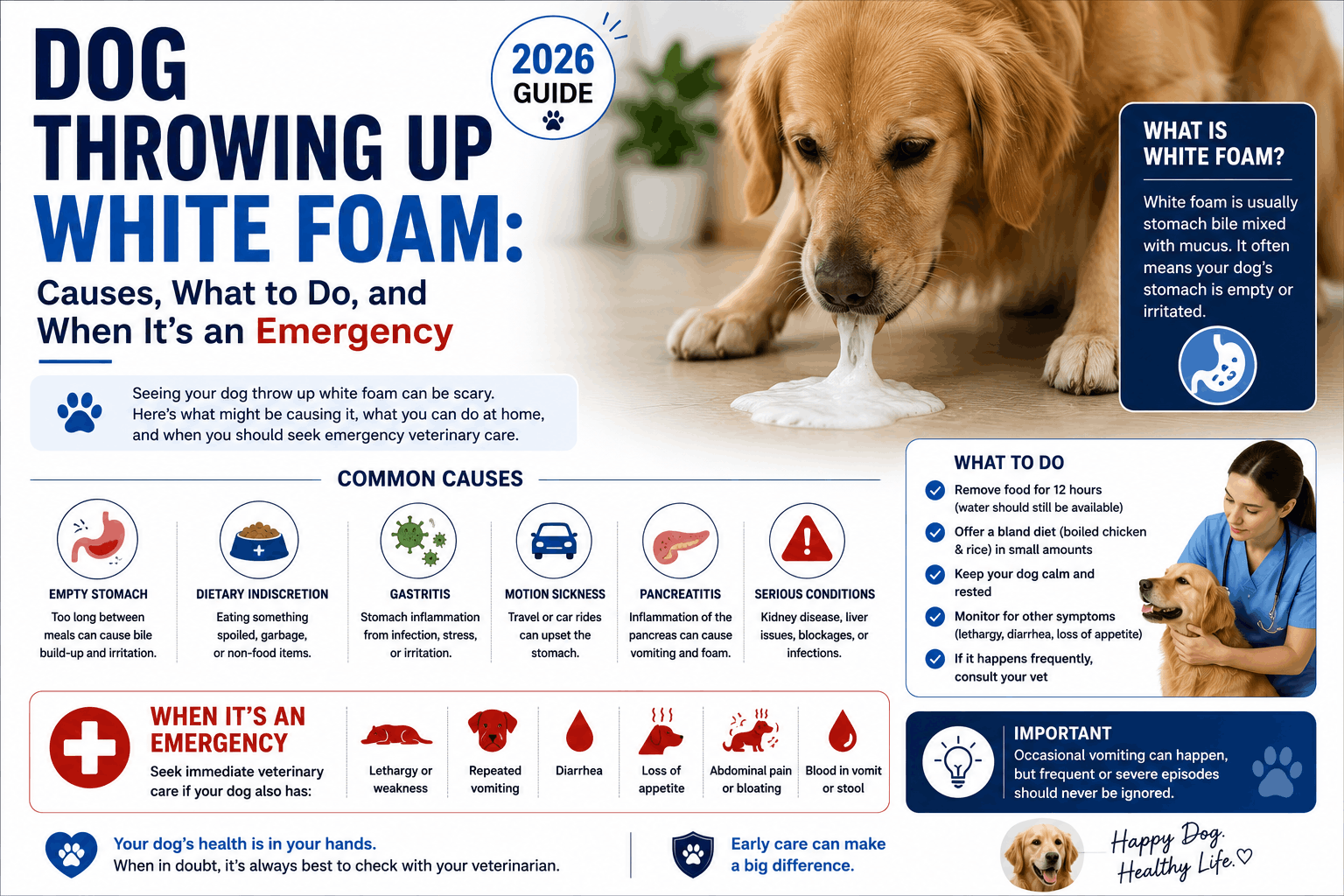 Dog Throwing Up White Foam Causes, What to Do, and When It's an Emergency (2026) Finding your dog throwing up white foam can be alarming, and it is one of the most common reasons pet owners call the vet. In most cases, white foam is simply a mix of stomach acid, saliva, and air that appears when a dog's stomach is empty, often harmless and self-resolving. But the same symptom can also be an early warning sign of a life-threatening emergency such as bloat or poisoning. This guide, grounded in veterinary guidance, explains what white foam vomit means, the common and serious causes, and most importantly exactly when to seek urgent care. What Does It Mean When a Dog Throws Up White Foam When a dog throws up white foam, the foam is usually saliva and gastric (stomach) juices from the upper digestive tract. It looks foamy or bubbly because stomach acid mixes with saliva and swallowed air. This most often happens when the stomach is empty, which is why many dogs bring up white foam in the early morning or late at night. One important distinction true vomiting brings material up from the stomach, while coughing up white foam can be a respiratory issue, such as kennel cough a different problem entirely. If your dog is honking, hacking, or bringing up foam while coughing rather than heaving, mention that to your vet, as it changes the likely cause. Common Causes of a Dog Throwing Up White Foam Many cases are mild, especially if your dog is otherwise acting normally. Common, usually less-serious causes include Empty stomach (bilious vomiting syndrome) When a dog goes too long without eating, bile can build up and irritate the stomach lining, producing white or yellow foam typically in the morning or overnight. Acid reflux Excess stomach acid can cause foamy vomit and nausea. Dietary upset or indigestion Eating fatty foods, spoiled leftovers, or a sudden diet change can upset the stomach. Eating grass or non-food items These can irritate the stomach lining and trigger foamy vomiting. Stress, excitement, or motion sickness Anxiety and car rides can cause some dogs to bring up foam. A single episode in a dog that is eating, drinking, and behaving normally is usually not a cause for panic, but it should still be monitored. Serious Causes That Need Urgent Care The same symptom can signal a genuine emergency. These causes require immediate veterinary attention Bloat (Gastric Dilatation-Volvulus GDV) One of the most serious emergencies in veterinary medicine. The stomach fills with gas and can twist. Early signs include retching without producing vomit, drooling, a swollen or distended belly, and restlessness. Large, deep-chested breeds such as Great Danes, German Shepherds, Standard Poodles, and Doberman Pinschers are at higher risk, though it can affect any dog. Bloat is fatal without prompt surgery, treat it as a true emergency. Toxin or poison ingestion Chocolate, xylitol, grapes, rodenticides, household cleaners, certain plants, and human medications can all cause foamy vomiting. This needs immediate care. Pancreatitis Inflammation of the pancreas, often triggered by fatty food, causing vomiting, abdominal pain, and lethargy. Gastritis or gastroenteritis Inflammation from infections, parasites, or swallowed foreign substances can cause persistent foamy vomiting. Foreign body obstruction A swallowed object blocking the digestive tract. Parvovirus A serious viral infection, especially dangerous in unvaccinated puppies. Pyometra A life-threatening uterine infection in unspayed females; vomiting can be a sign. Kidney disease or cancer In older dogs with recurrent foamy vomiting, these are worth investigating. When to Call the Vet Contact a veterinarian right away if your dog throwing up white foam also shows any of these warning signs Vomiting three or more times in 24 hours, or repeated heaving A swollen, bloated, or painful abdomen Retching or gagging without bringing anything up Weakness, collapse, or pale gums Difficulty breathing Blood in the vomit Lethargy, refusing food or water, or signs of pain Suspected ingestion of a toxin or foreign object The dog is a puppy, a senior, or has an existing health condition When in doubt, call. Puppies, seniors, and dogs with chronic conditions should be seen sooner rather than later, because they can decline quickly. What to Do at Home for Mild Cases If your dog has vomited white foam only once and is otherwise bright, alert, and acting normal, veterinary sources suggest a cautious approach Monitor closely for the next 2–3 hours and throughout the day for any repeat vomiting or other symptoms. Withholding food briefly many vets suggest resting the stomach for about 6–12 hours while always keeping fresh water available to prevent dehydration. Reintroduce a bland diet such as boiled, plain chicken and plain white rice in small amounts once vomiting has stopped. Do not give human medications unless your veterinarian has specifically prescribed them. If vomiting returns, worsens, or is joined by any of the warning signs above, stop home care and contact your vet immediately. How to Help Prevent It A few habits can reduce the odds of an empty-stomach or diet-related episode Feed smaller, more frequent meals so the stomach is not empty for long stretches, which helps dogs prone to bilious vomiting. Avoid sudden diet changes and transition foods gradually over 7-10 days. Keep toxins out of reach, secure medications, cleaners, and dangerous foods like chocolate, grapes, and xylitol. Discourage grass and garbage eating on walks and at home. Reduce bloat risk in at-risk breeds by avoiding heavy exercise right after eating and asking your vet about feeding strategies. Frequently Asked Questions Why is my dog throwing up white foam Most often it is stomach acid and saliva brought up on an empty stomach, from acid reflux, or from minor indigestion. However, it can also signal serious problems like bloat, poisoning, or pancreatitis, so watch for other symptoms. Is a dog throwing up white foam an emergency It can be. A single episode in a dog acting normally is usually not urgent. But it is an emergency if it is repeated or paired with a swollen belly, unproductive retching, weakness, pale gums, breathing trouble, or suspected poisoning. What should I do if my dog throws up white foam but acts normal Monitor closely, keep fresh water available, briefly rest the stomach, and reintroduce a small bland meal (boiled chicken and rice). Contact your vet if it happens again or other symptoms appear. Can stress cause a dog to vomit white foam Yes. Anxiety, excitement, and motion sickness can trigger foamy vomiting in some dogs. Should I feed my dog after it vomits white foam Wait a few hours, then offer a small, bland meal if the vomiting has stopped and your dog seems comfortable. Never force food. My dog is trying to vomit but nothing comes out. What does that mean Unproductive retching, especially with a swollen belly and restlessness, can be a sign of bloat (GDV), a life-threatening emergency. Seek veterinary care immediately. Is my dog coughing up foam or vomiting Coughing up white foam can point to a respiratory issue like kennel cough, while vomiting brings material up from the stomach. Note which is happening, as it helps your vet find the cause. Final Thoughts A dog throwing up white foam is usually caused by something minor, like an empty stomach or mild indigestion, and often resolves with simple monitoring and a brief bland diet. But because the same symptom can be the first sign of an emergency such as bloat or poisoning, it always deserves a careful look. Watch your dog closely, know the warning signs, and never hesitate to call your veterinarian when something seems off. Acting quickly on the serious signs and staying calm with the mild ones is the best way to protect your dog's health. About the Author The Serlig Pet Care Team creates researched, plain-language pet care guides for everyday owners. Our content is written from hands-on pet-care experience and cross-checked against established veterinary sources. Slug httpsserligblog.comdog-throwing-up-white-foam